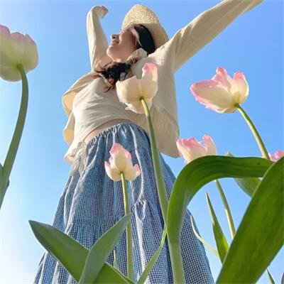 阿特米斯的奇幻历险